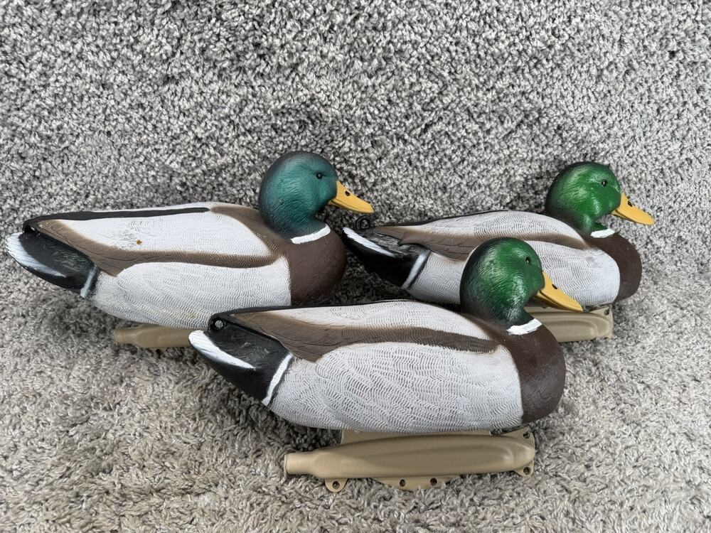 Flambeau Storm Front Mallard Duck Decoys Lot of 3 Drake Hunting Weighted Keel